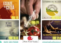 Gli spettacoli della Carovana